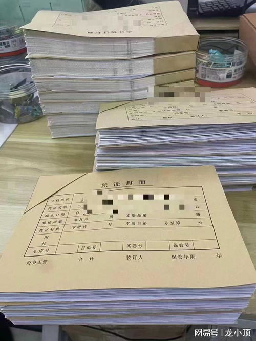 潍坊企业财务首选 龙顶会计服务，专业代理记账与出口退税专家